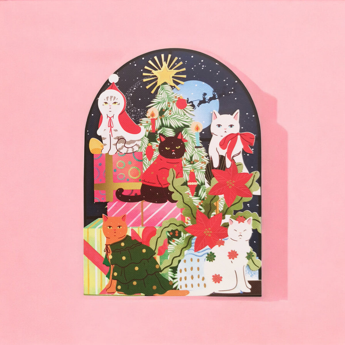 CMS050(6 cards)