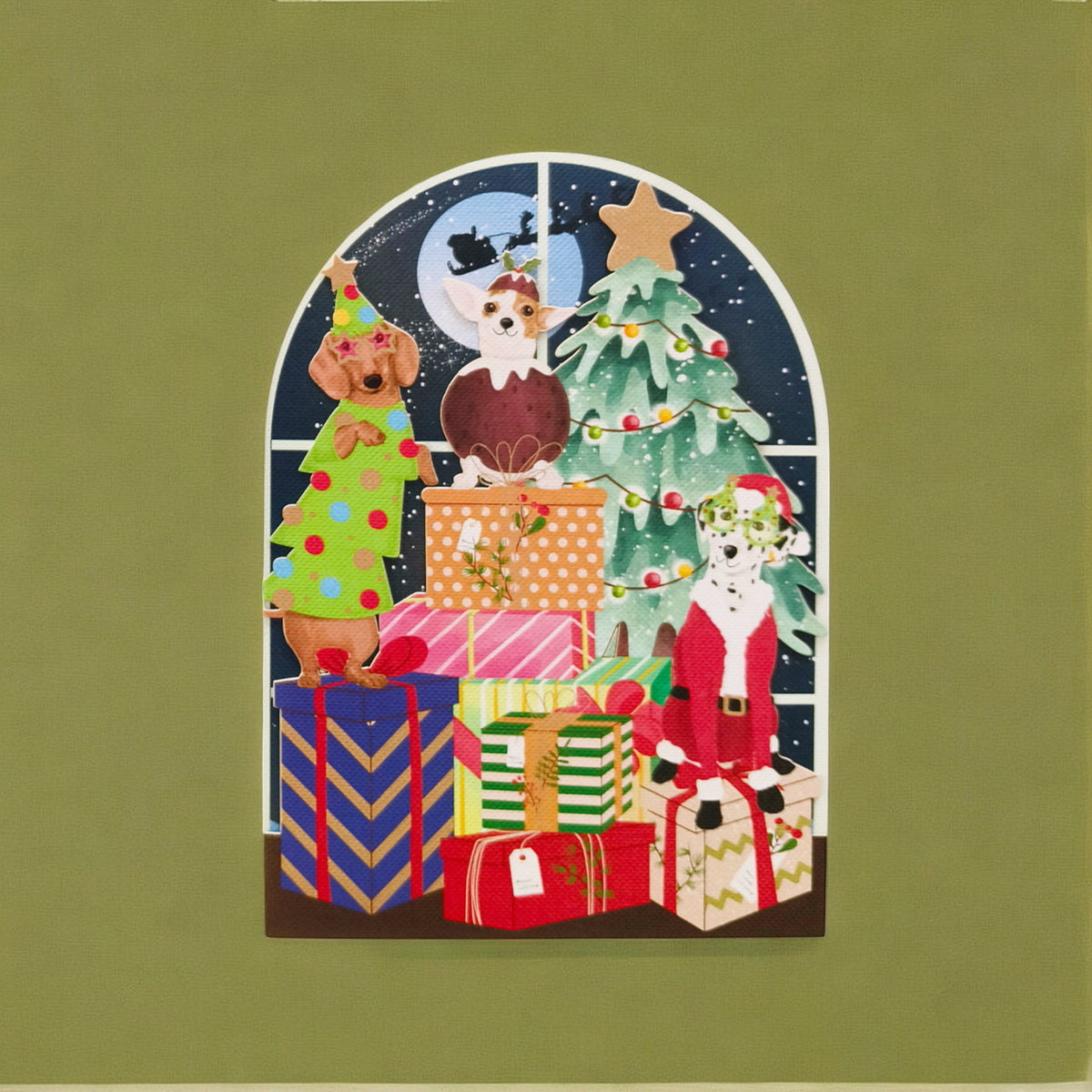 CMS051(6 cards)