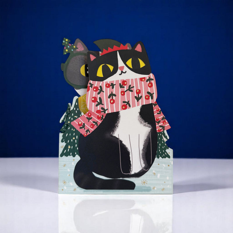 XWB001 -  CAT (6 cards)