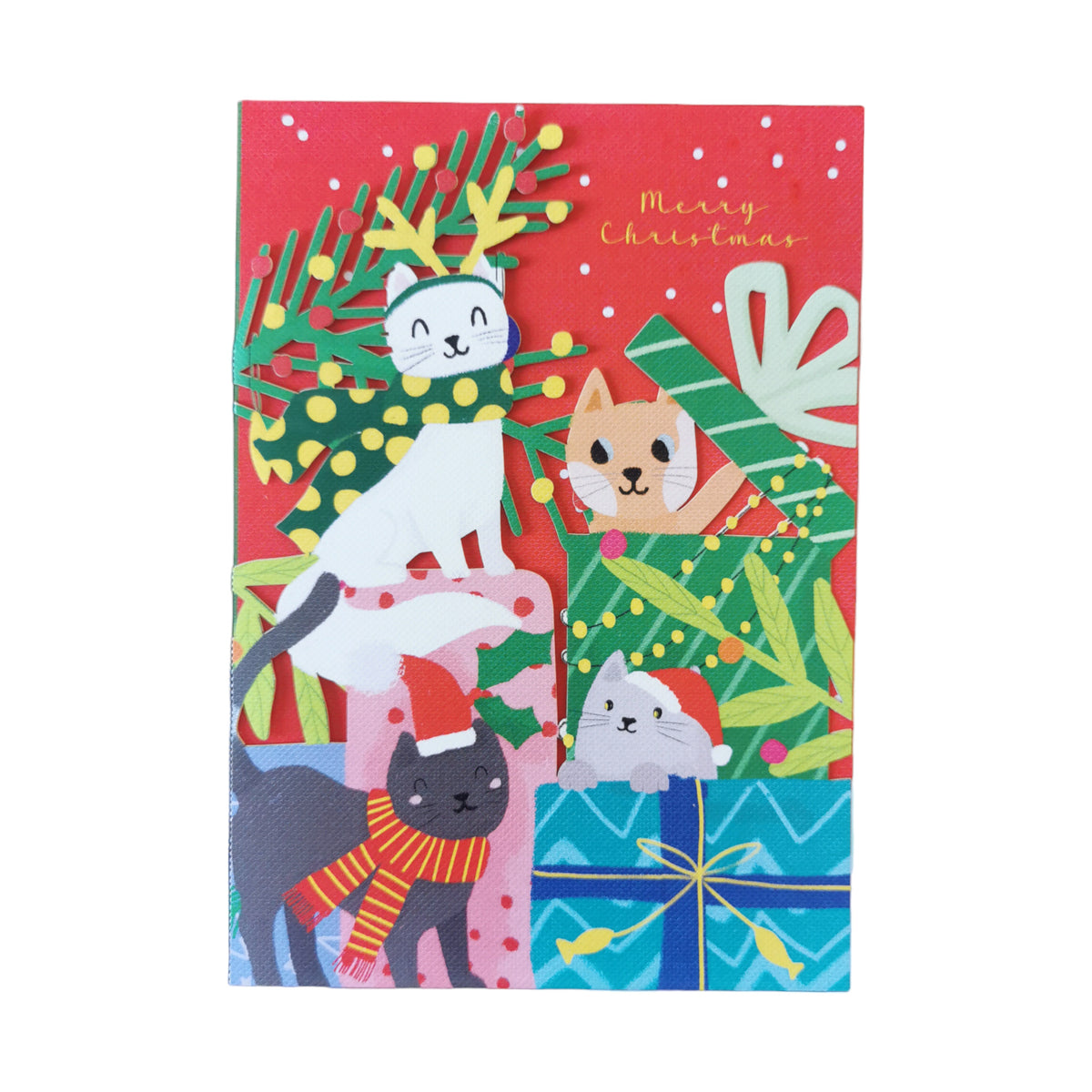 CMS037(6 cards)