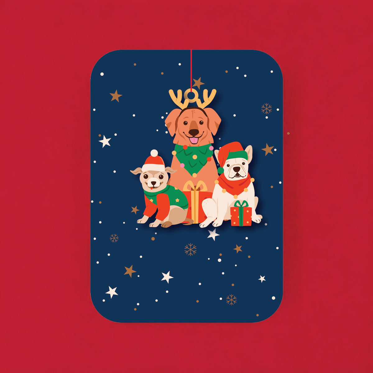 WHC116 (6 cards)